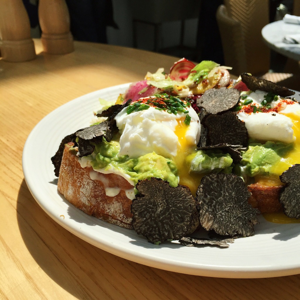 avocado toast with fresh truffles