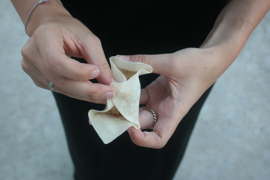 step three asian chicken wontons