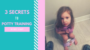 Potty Training Toddler in 3 days