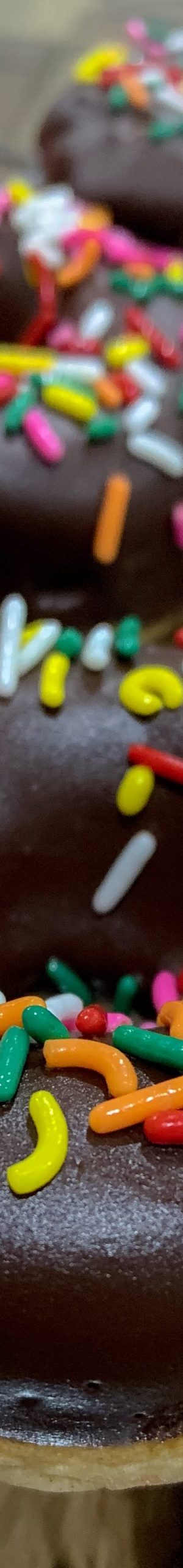 skinnydonutschocolateww